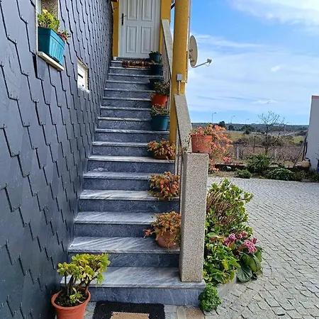 Ferienwohnung Casa Da Oliveira Pegarinhos Exterior foto